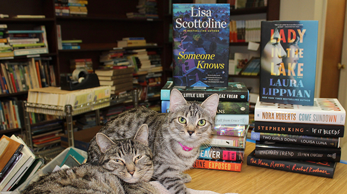 cats at Redbird books